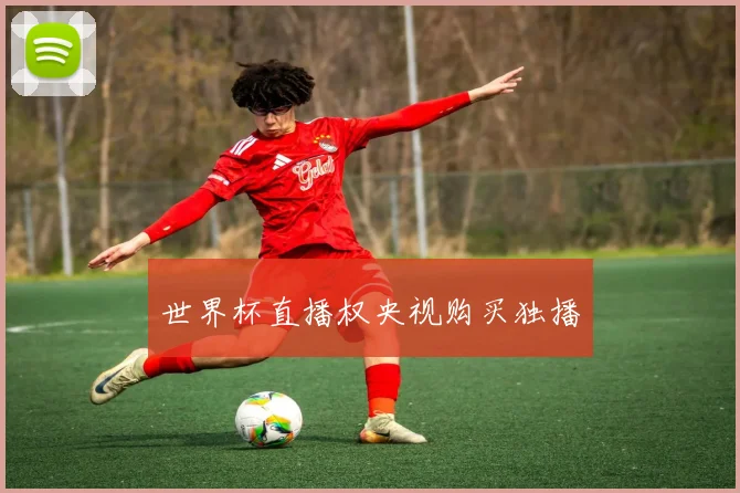 世界杯直播权央视购买独播